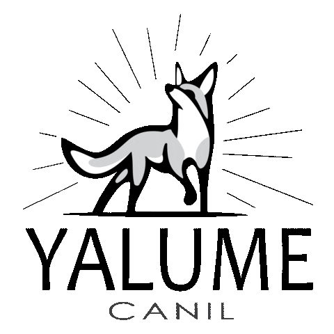 Canil Yalume Sticker