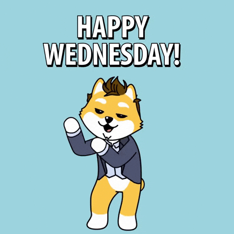 Wednesday Morning GIF by Dogelon Mars
