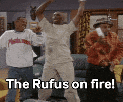 Rufus GIF by Studio Voisier
