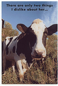 cow