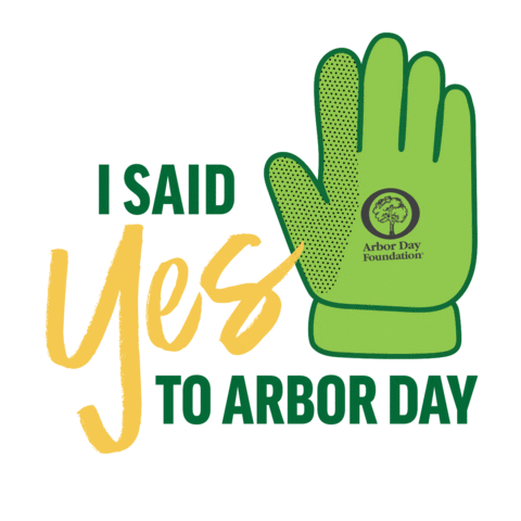 Arbor Day Yes Sticker by Arbor Day Foundation