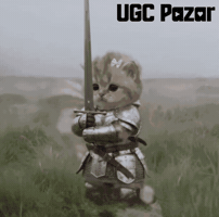 Cat Sword GIF by UGCPazar