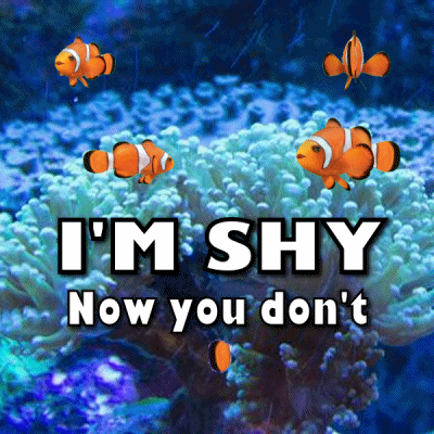 Dont Be Shy Now You See Me GIF