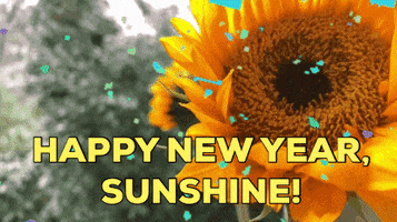 New Year Sunshine GIF by Wanda Petunia Love