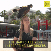 Bird Pets GIF by 60 Second Docs