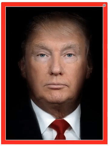 Imran Awan Fake News GIF