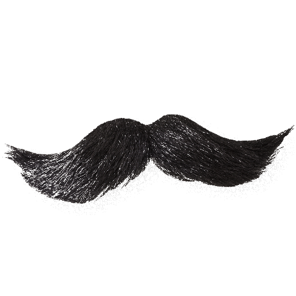 Moustache Letsgetfestive Sticker by TOPS at SPAR for iOS & Android GIPHY