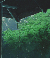 Aesthetics-anime GIFs - Get the best GIF on GIPHY