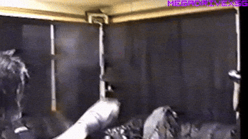 Music GIF