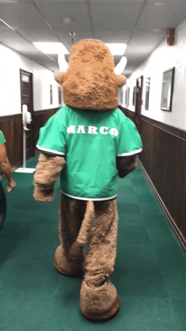 we are marshall marco GIF by Marshall University