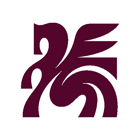 Dallas Trinity FC Sticker