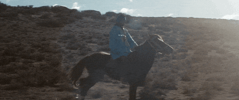 music video horse GIF by Columbia Records UK