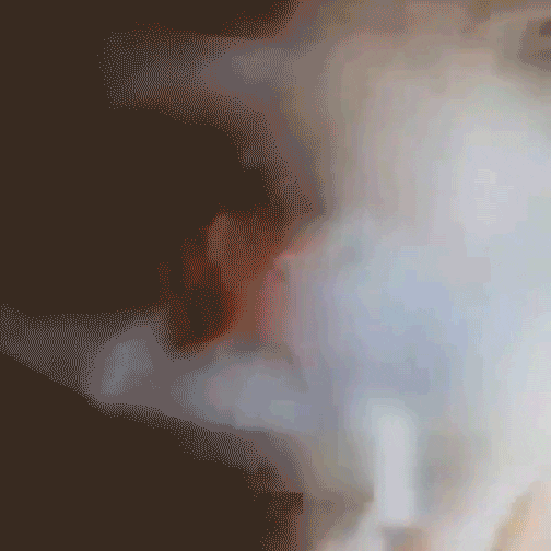 Sushi One GIF