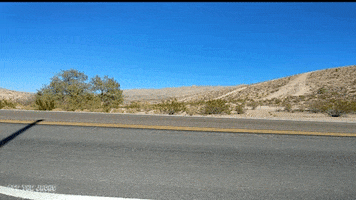 ford desert GIF by Off The Jacks