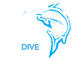 Divewithemma Sticker by BMKL