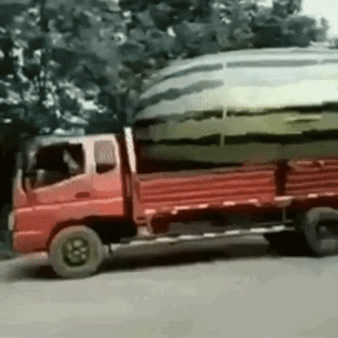 Water Melon GIF