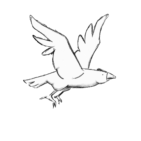 Bird Sticker