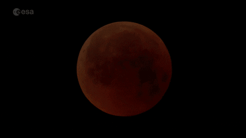 Lunar Eclipse GIFs - Get the best GIF on GIPHY