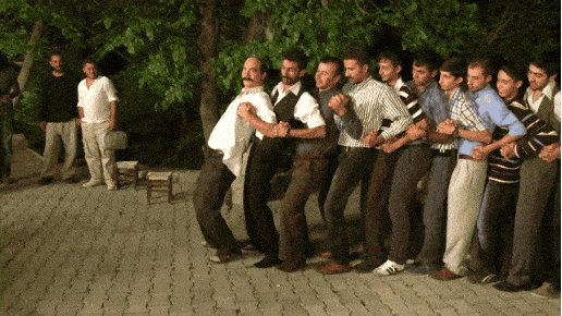 Giphy - Basi GIF