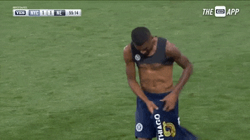 Major League Soccer Sport GIF by NYCFC