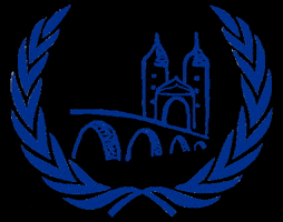 Mun GIF by The Heidelberg Model United Nations Society