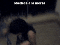 Obedece a la morsa (Original) on Make a GIF