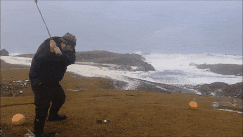 Giphy - GIF by Giffffr