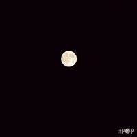 full moon GIF by GoPop