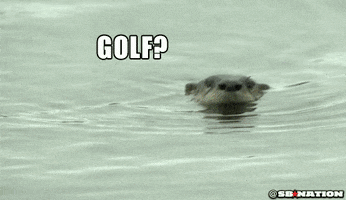 Golf Otter GIF by SB Nation