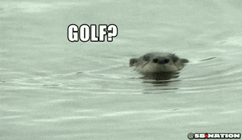 200.gif?cid=fc005b086e3e540cc6e9684982e3c90e5ca15a8400f30599&rid=200.gif&ct=g