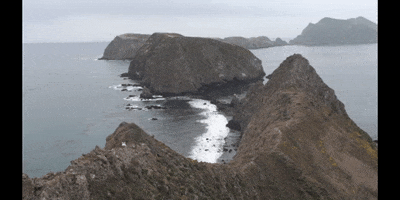 Channel Islands Summer GIF by DIIMSA Stock