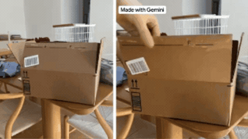 Animated GIF
