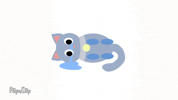 Sad Cat GIF