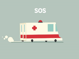 Sos Zizoune GIF