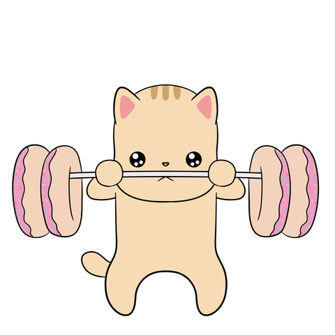 Cat Working Out GIF by Chubbiverse