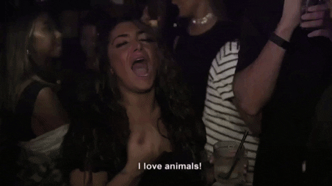 animal lover
