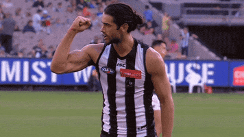 football love GIF by CollingwoodFC
