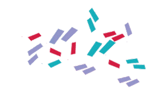 Confetti Celebrate Sticker by @WPA_NYC