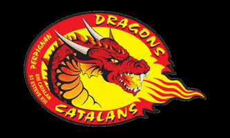 Rugby League GIF by Dragons Catalans