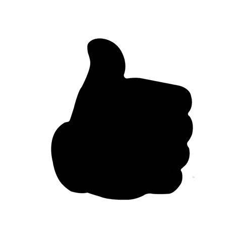 Edm Thumbs Up GIF