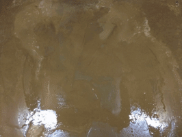 remembrance fields of mud seeds of hope GIF