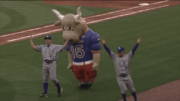 Boom Tackle GIF by Columbia Fireflies