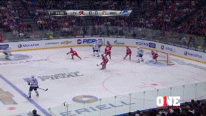 hockey goal GIF by ONE World Sports