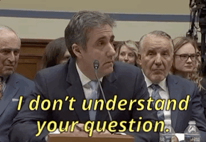 i dont understand michael cohen GIF
