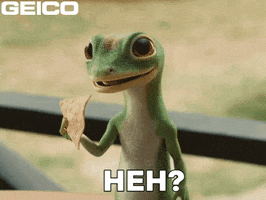 Disbelief What GIF by GEICO