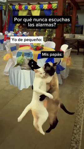 Dance GIF