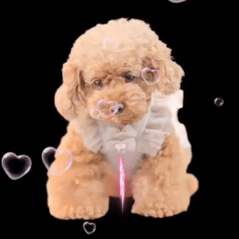 GIF by kalina_wans_gogoh