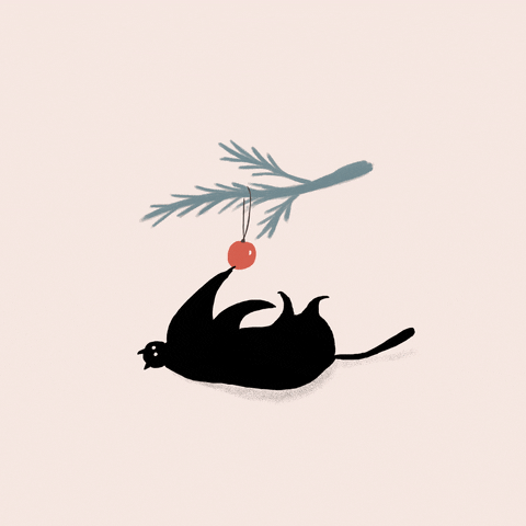 Cat Christmas GIF by Agnes Gyorfi