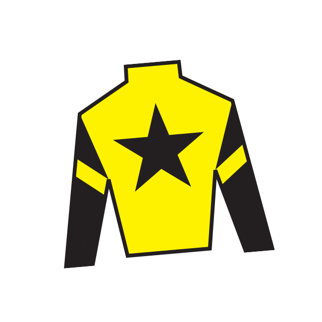 Horse Racing Sticker by Kentucky Derby