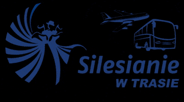 Sil002 GIF by Silesianie